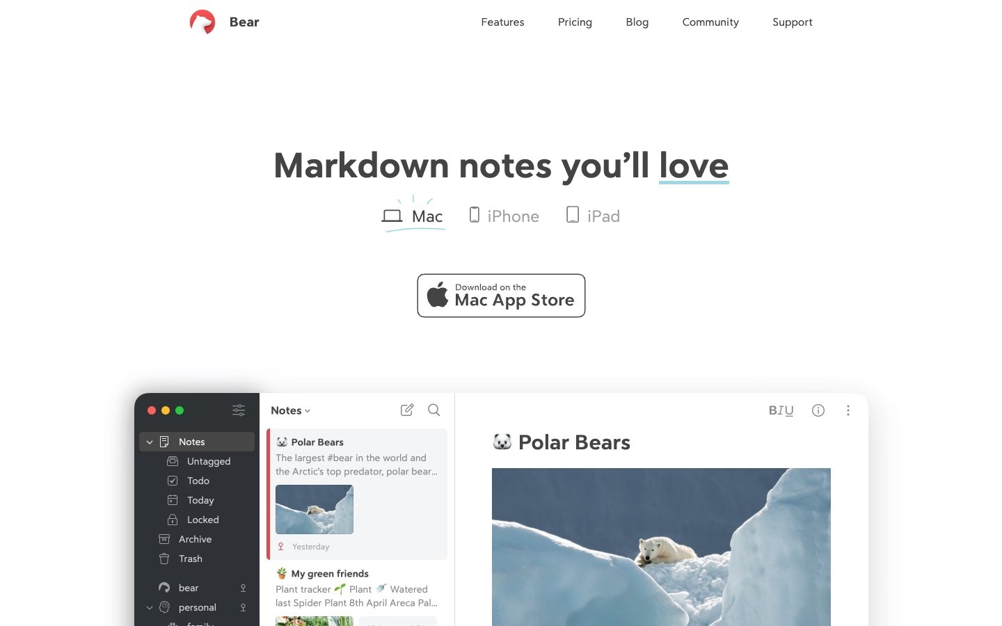 Bear website screenshot