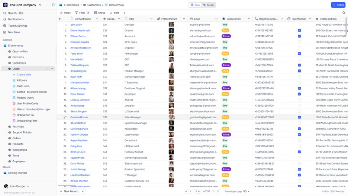 Database grid view showing customer records in a table with columns for contact names, job titles, emails, subscription tiers, and a left navigation sidebar.